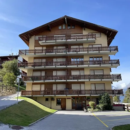 Ambassador, Confortable, Proche Des Pistes